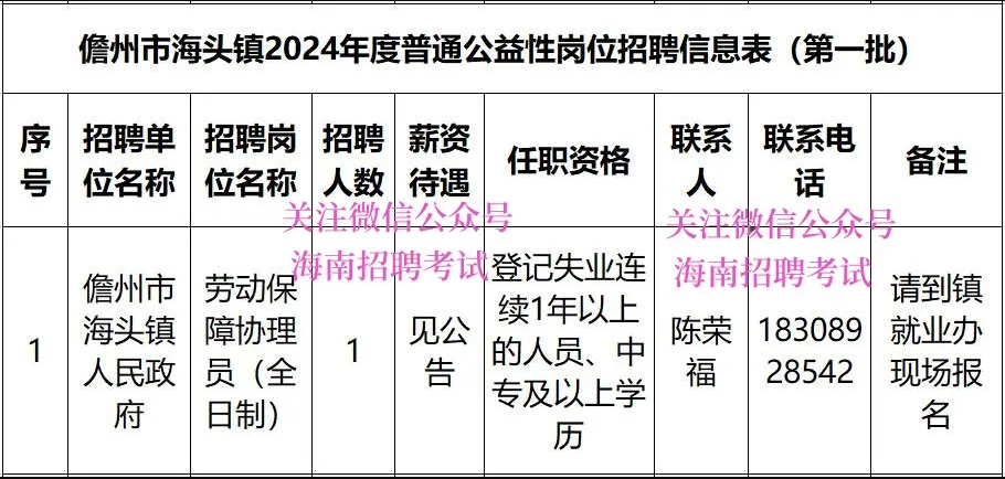 儋州市海頭鎮(zhèn)人民政府2024年招聘，中?？蓤?bào)